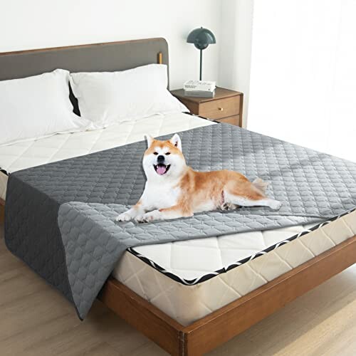 gogobunny Waterproof Dog Bed Cover